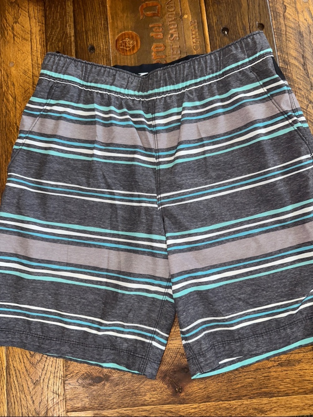 Speedo Tech Volley Swim Shorts ✔️